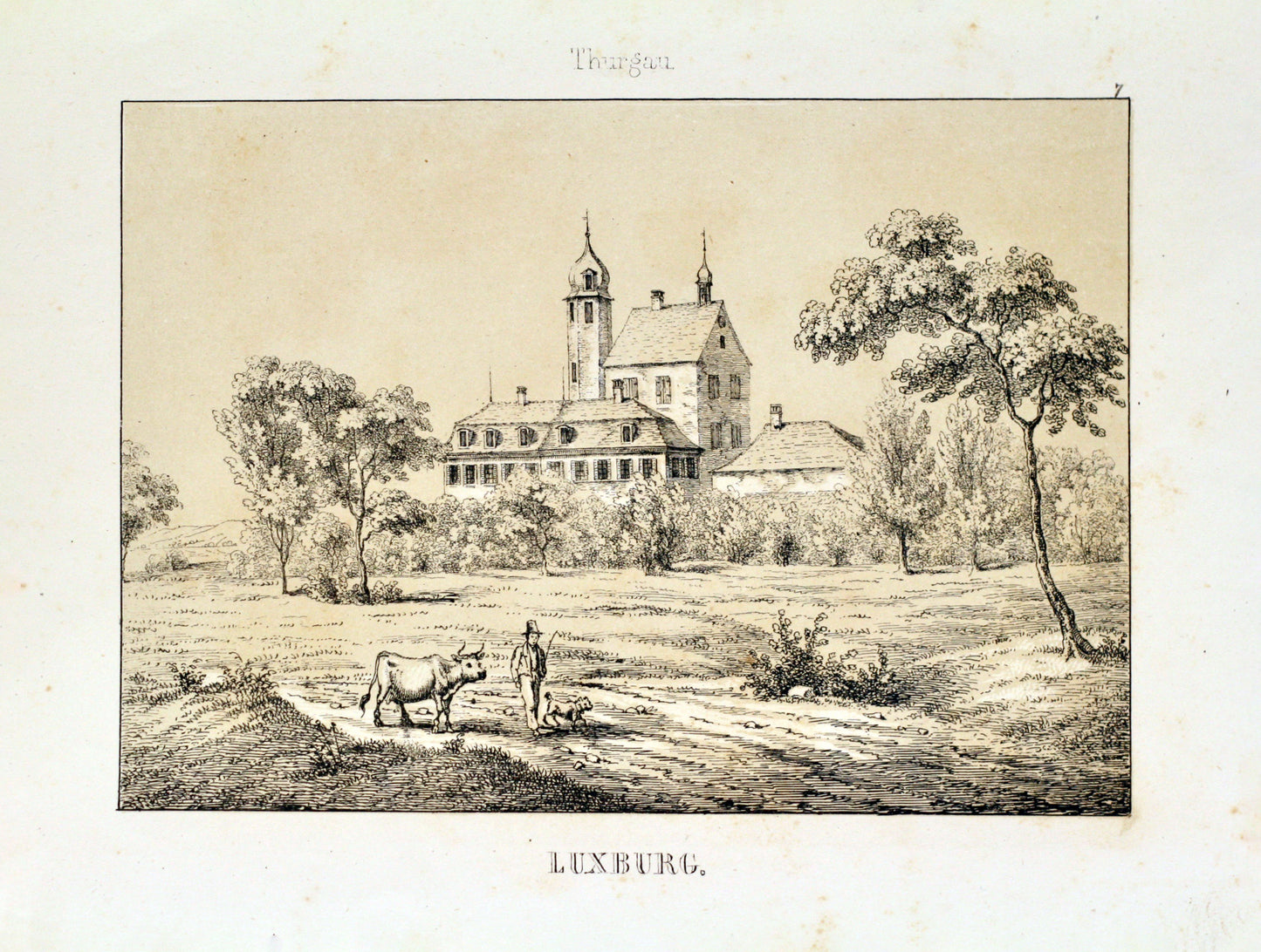 Luxburg