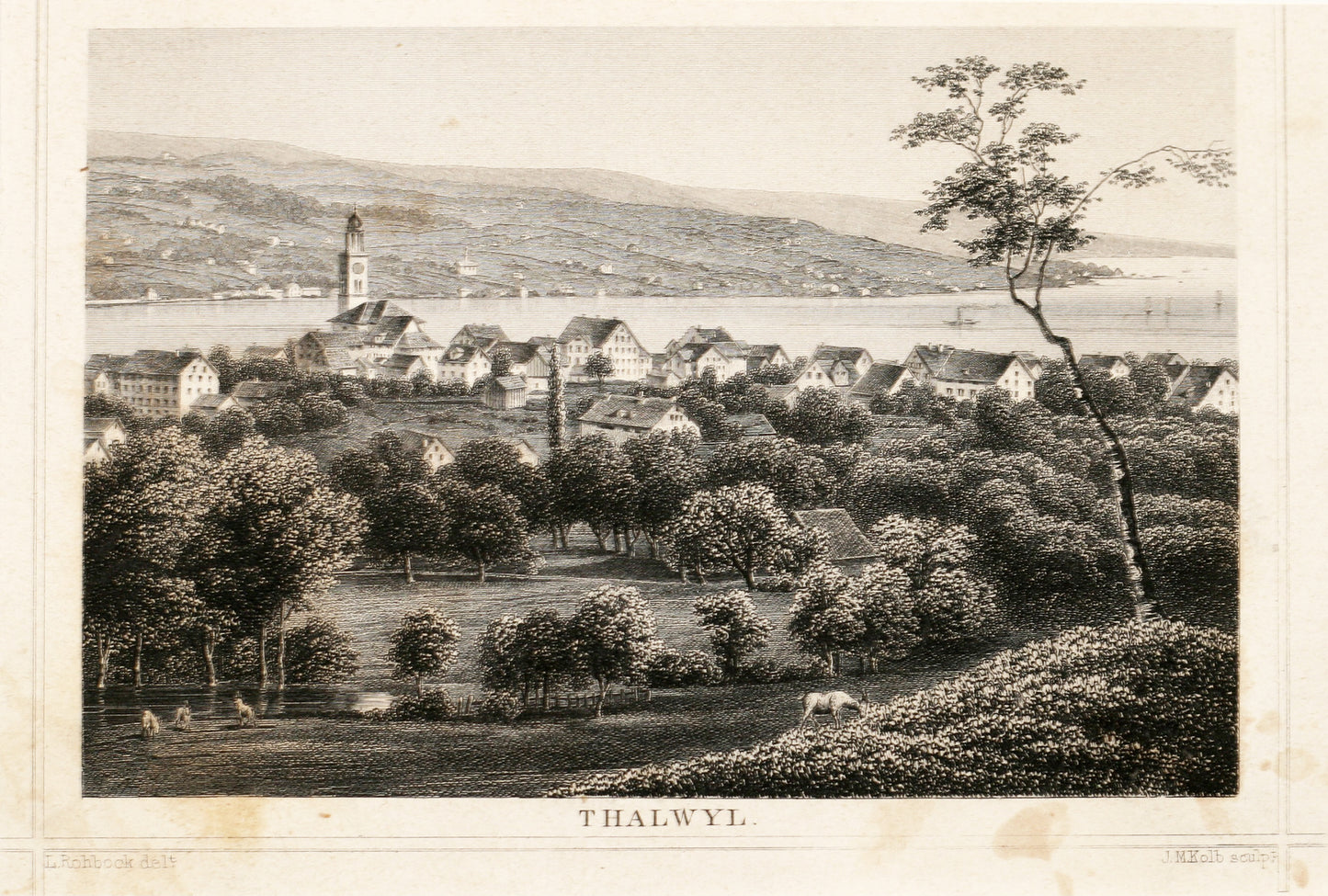 Thalwyl