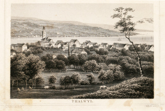 Thalwyl